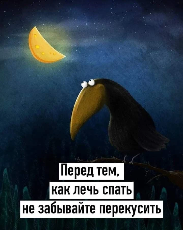 Перекусить перед сном - гифки и картинки