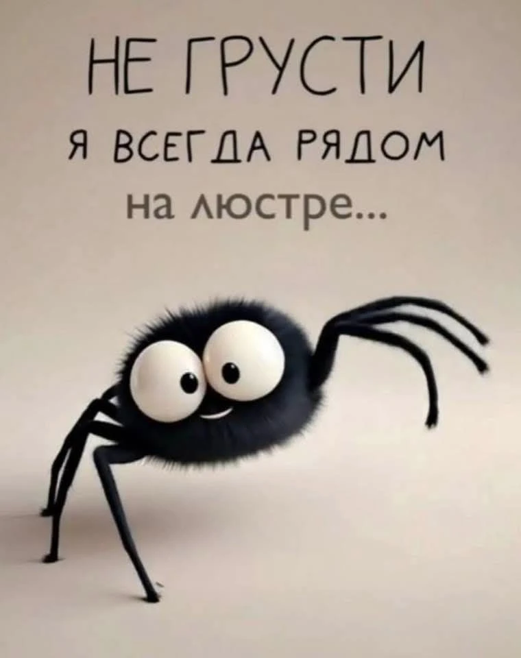Миловидный пушистый паук с огромными глазами, наблюдающий за происходящим с высоты. - гифки и картинки