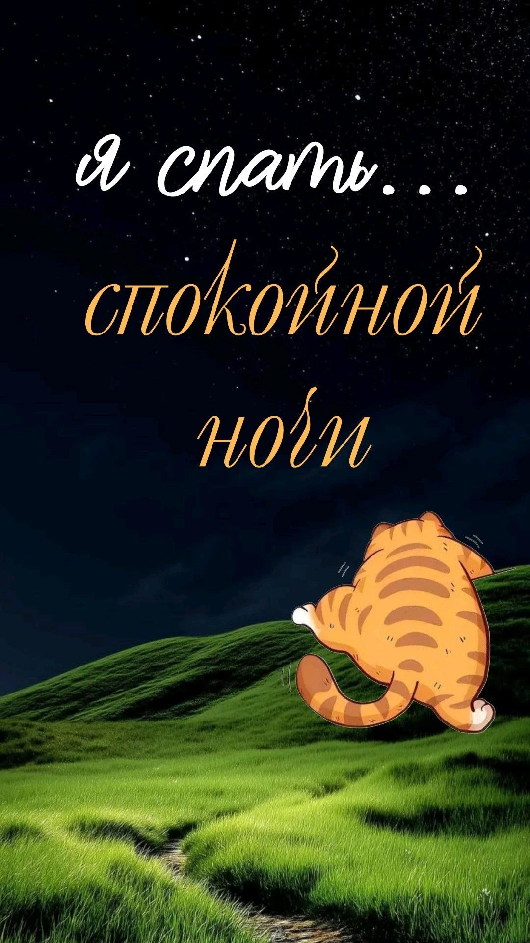 Кот желает спокойной ночи - гифки и картинки