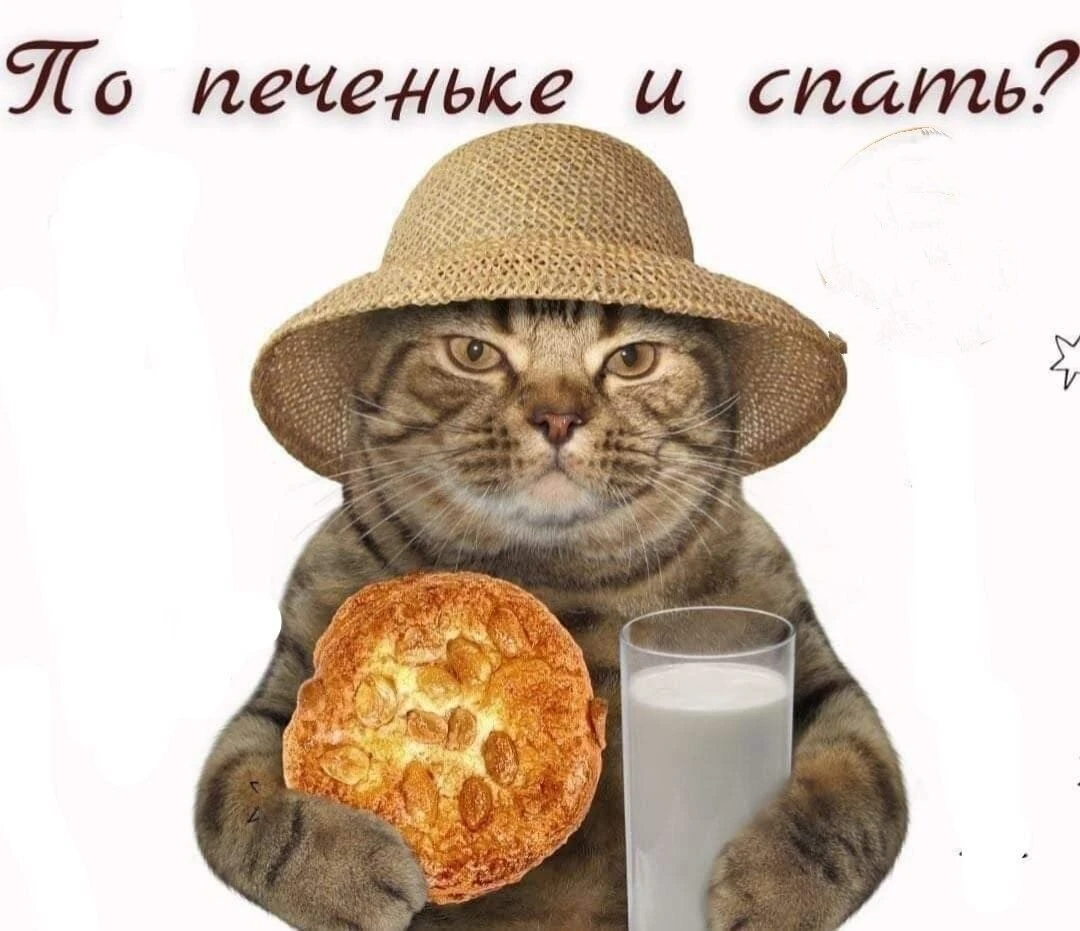 По печеньке и спать - гифки и картинки