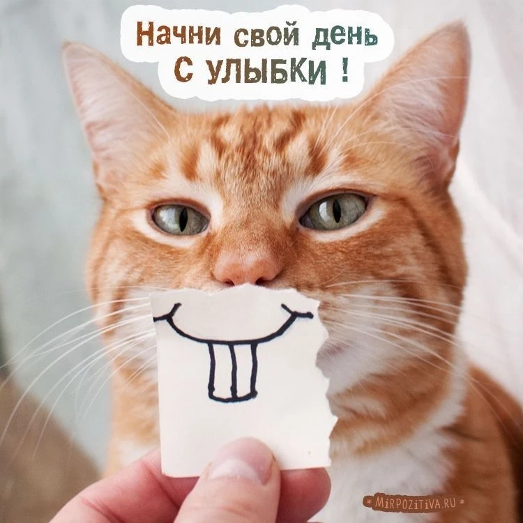 Начни свой день с улыбки - гифки и картинки
