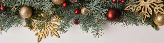 С Рождеством