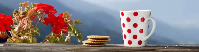 С добрым утром общие