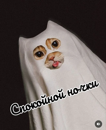 Спокойной ночки - картинка gif