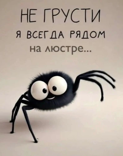 Миловидный пушистый паук с огромными глазами, наблюдающий за происходящим с высоты. - картинка gif