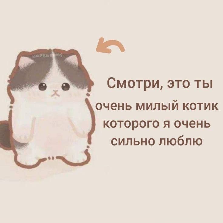 Милый котик для любимых - гифки и картинки
