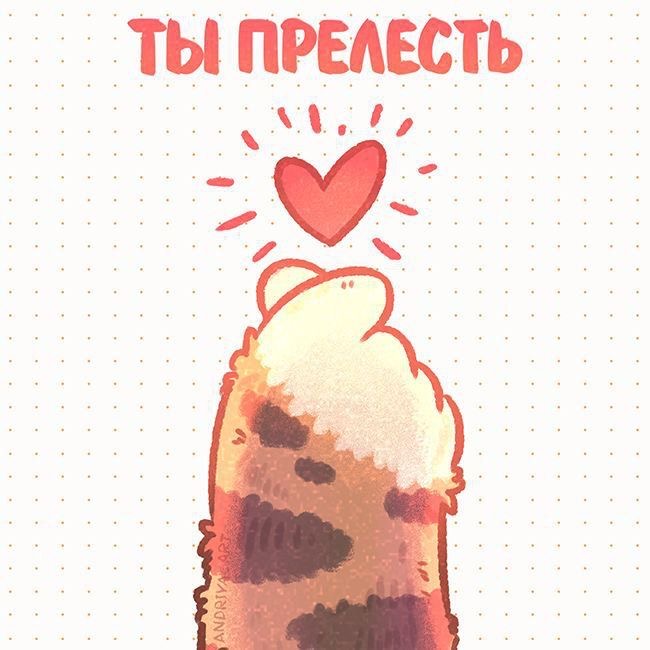 Милое кошачье сердечко - гифки и картинки