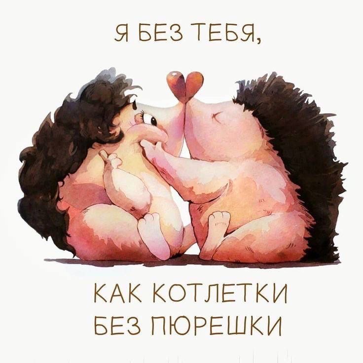 Неразлучные ежи в любви - гифки и картинки