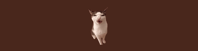 Юмор и Мемы