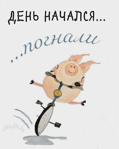 Свинка едет на велосипеде - картинка gif