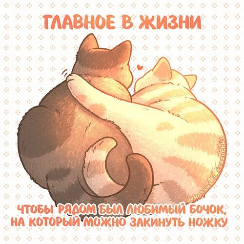Уютное объятие двух кошек - картинка gif