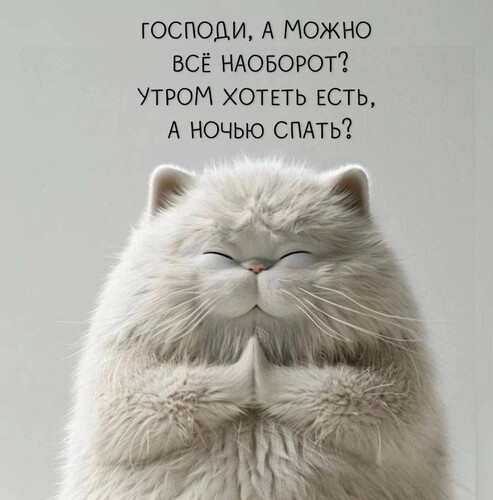 Мечта о нормальном режиме - картинка gif