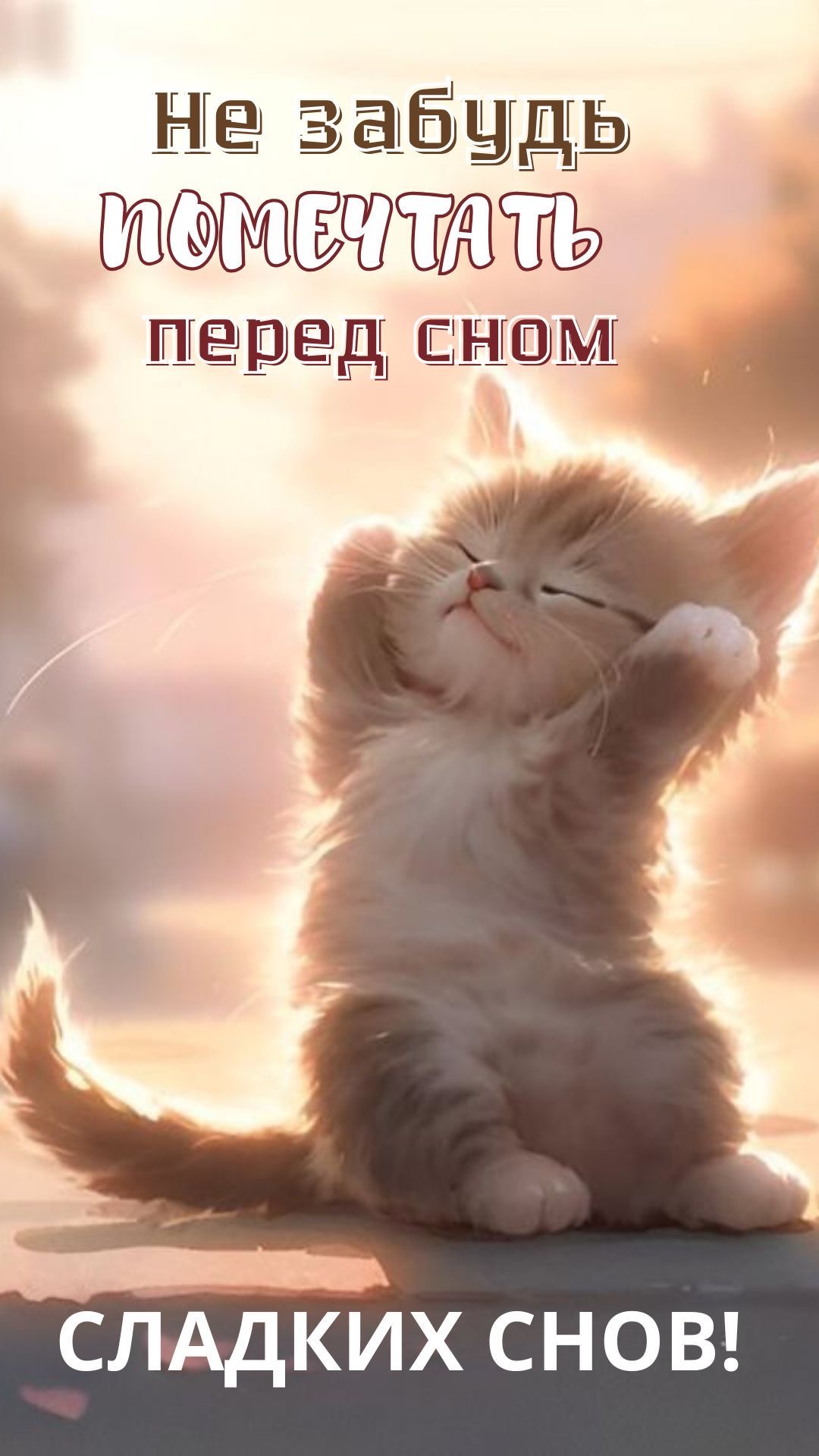 Котёнок мечтает перед сном - гифки и картинки
