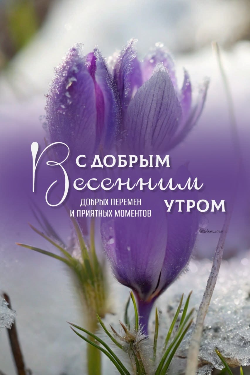 Весеннее цветочное утро - гифки и картинки