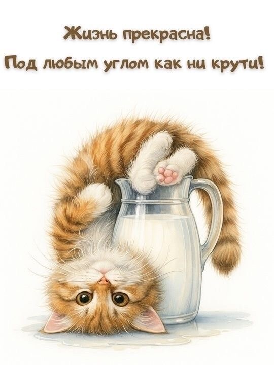 Кот перевернул кувшин молока - гифки и картинки