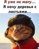 Уставший от зимы кот - картинка gif