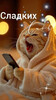 Сонный котик с телефоном - картинка gif