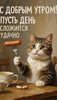Кот завтракает сосиской - картинка gif