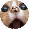Рекурсия кошачьего крика - картинка gif