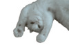 Кот потягивается после сна - картинка gif