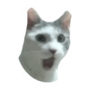 Удивленный кот с открытым ртом - картинка gif
