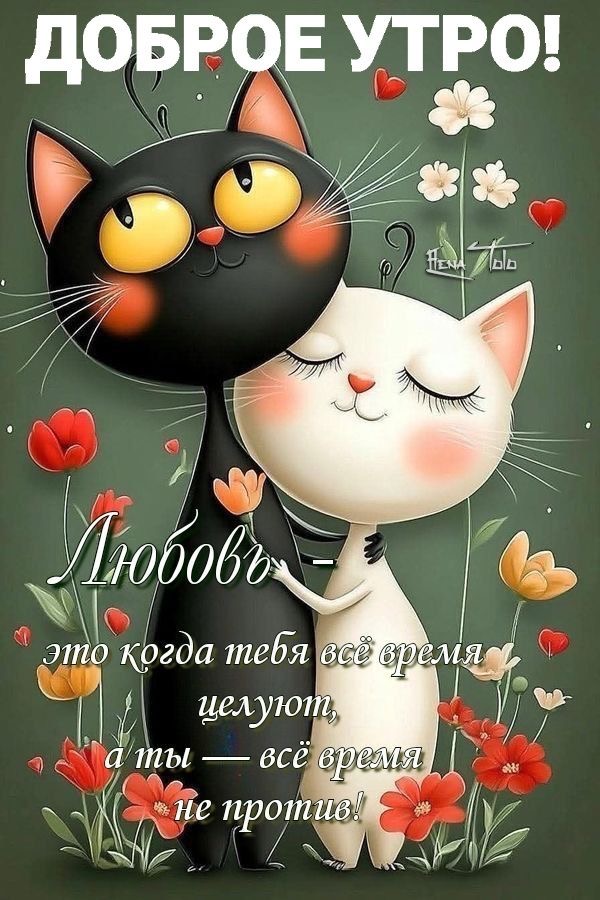 Влюбленные коты в цветах - гифки и картинки