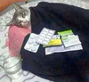 Кот на лечении - картинка gif