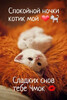Сладких снов, любимый котик - картинка gif