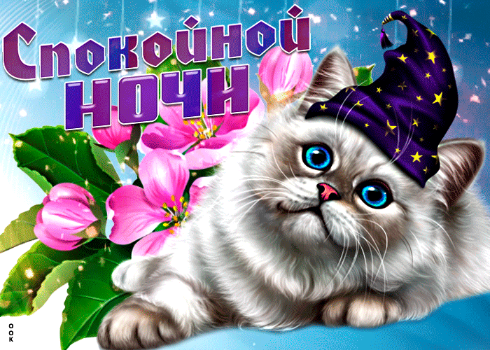 Кот в шапке спокойной ночи - гифки и картинки