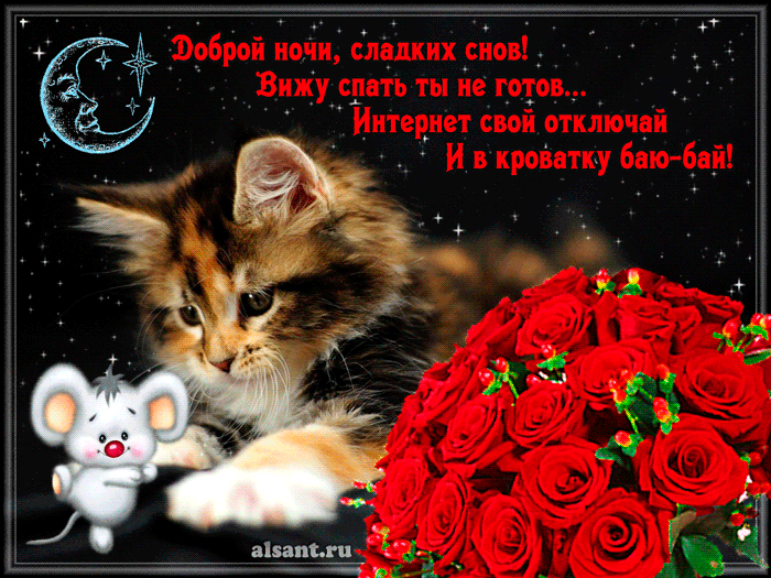 Пожелание спокойной ночи котенком - гифки и картинки