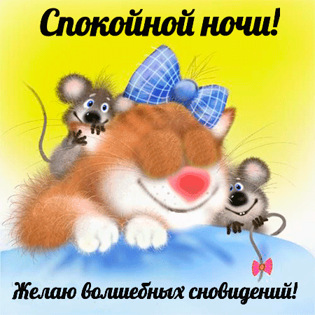Кот спит с мышатами - гифки и картинки