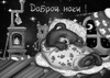 Медвежонок спит спокойной ночью - картинка gif