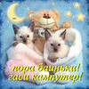 Котята с игрушкой перед сном - картинка gif