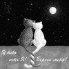 Две кошки под луной - картинка gif