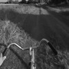 Езда на велосипеде за городом - картинка gif
