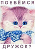 Милый котенок с надписью - картинка gif