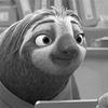 Ленивец смотрит в камеру - картинка gif