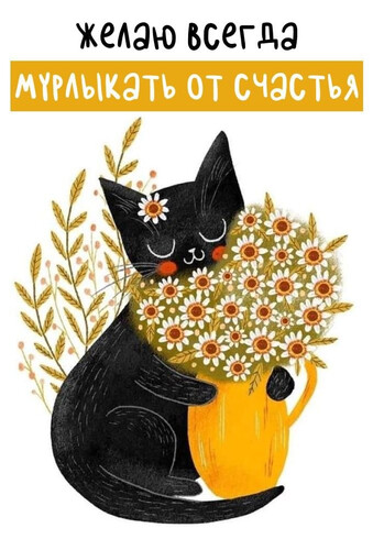 Счастливый кот с цветами - картинка gif