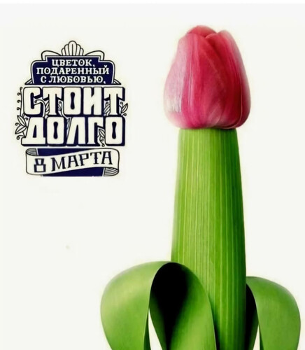 Тюльпан к 8 марта - картинка gif