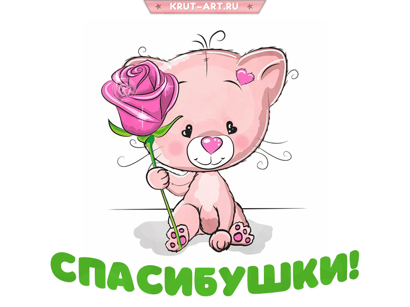 Милый котёнок держит розовую розу - гифки и картинки