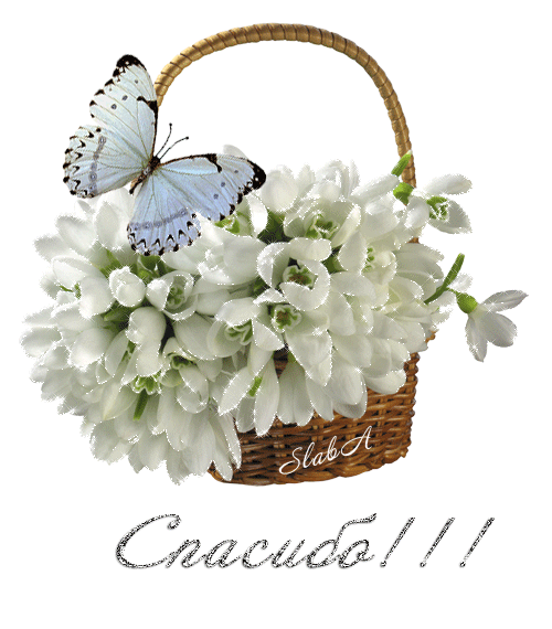 Корзина с подснежниками и бабочкой - гифки и картинки