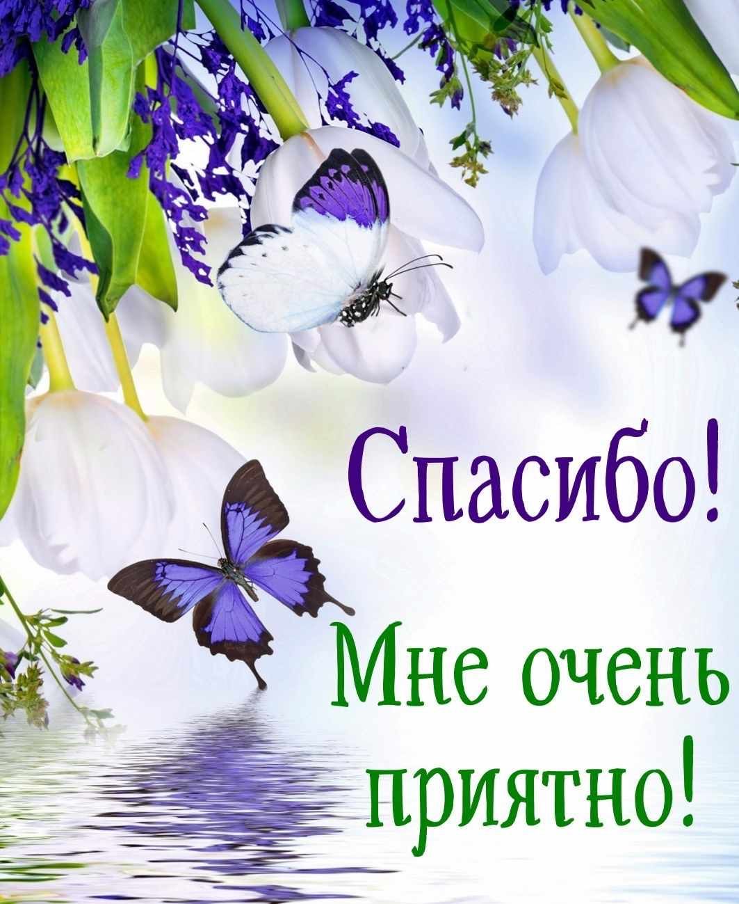 Благодарность за приятные слова - гифки и картинки