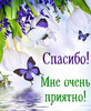 Благодарность за приятные слова - картинка gif