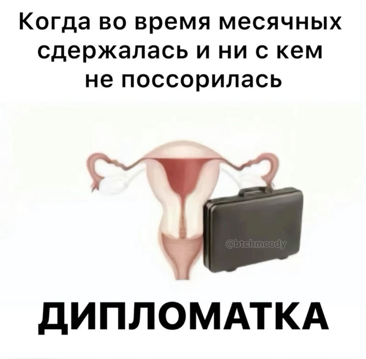 Изображение матки с дипломатом - гифки и картинки