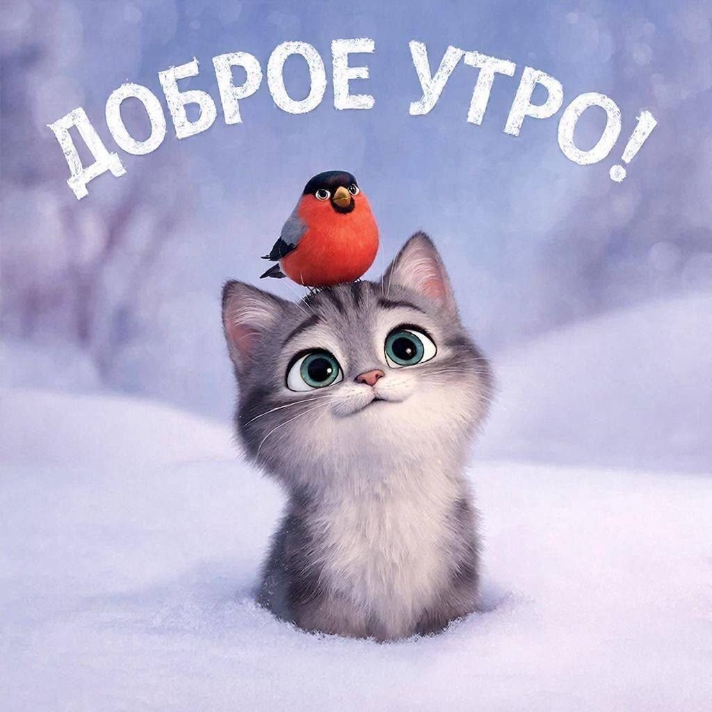 Кот с птичкой доброе утро - гифки и картинки
