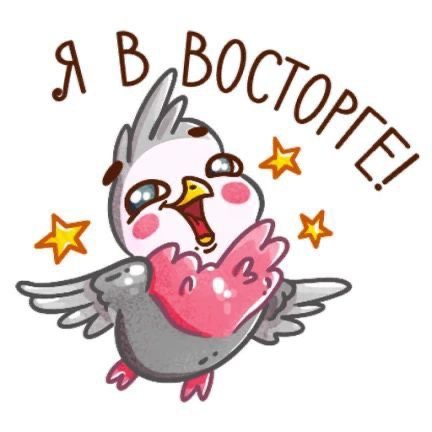 Птица в восторге - гифки и картинки