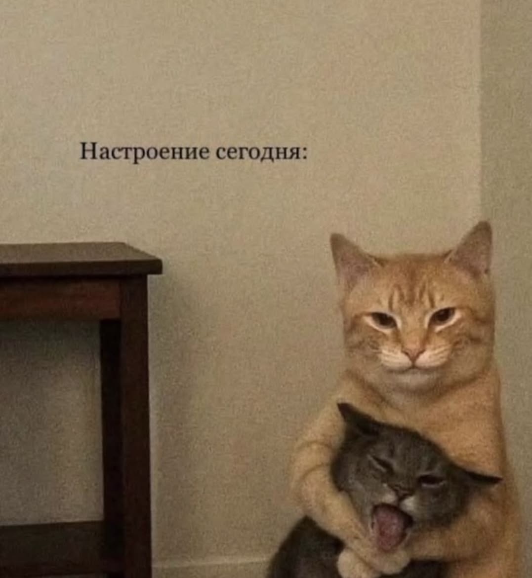 Рыжий кот обнимает серого - гифки и картинки