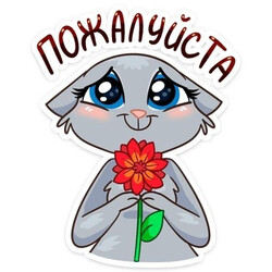 Милый котик с цветком, пожалуйста - картинка gif