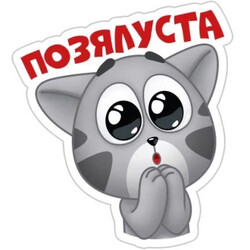 Милый котик просит пожалуйста - картинка gif