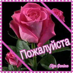 Розовые розы на темном фоне - картинка gif